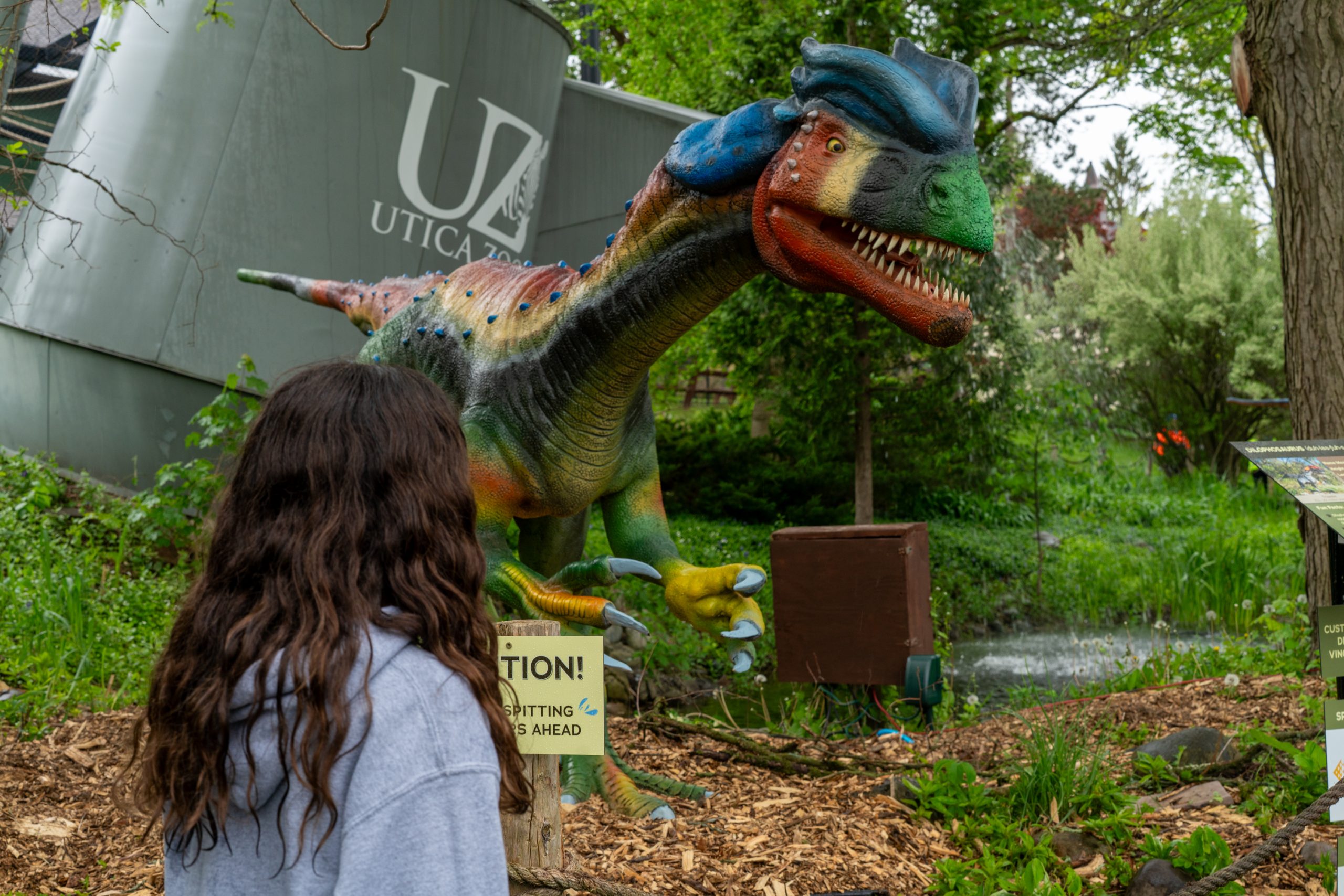 Utica Zoo Dino Discovery