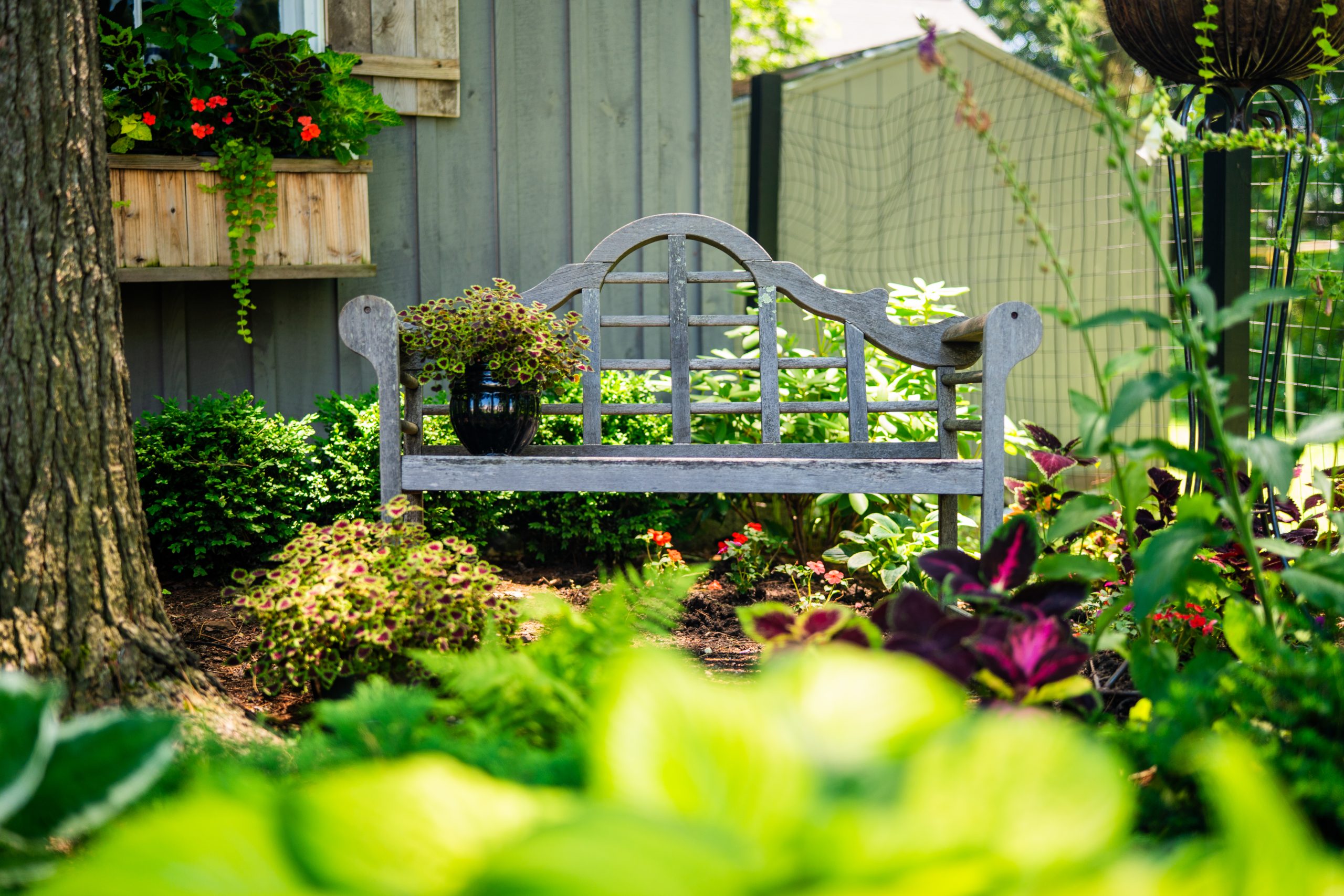 Explore Utica, NY’s Gardens at the GreenUtica Garden Tour