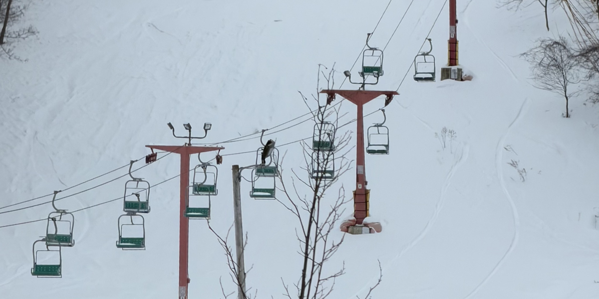 Hit the Slopes in South Utica at Val Bialas Ski Facility