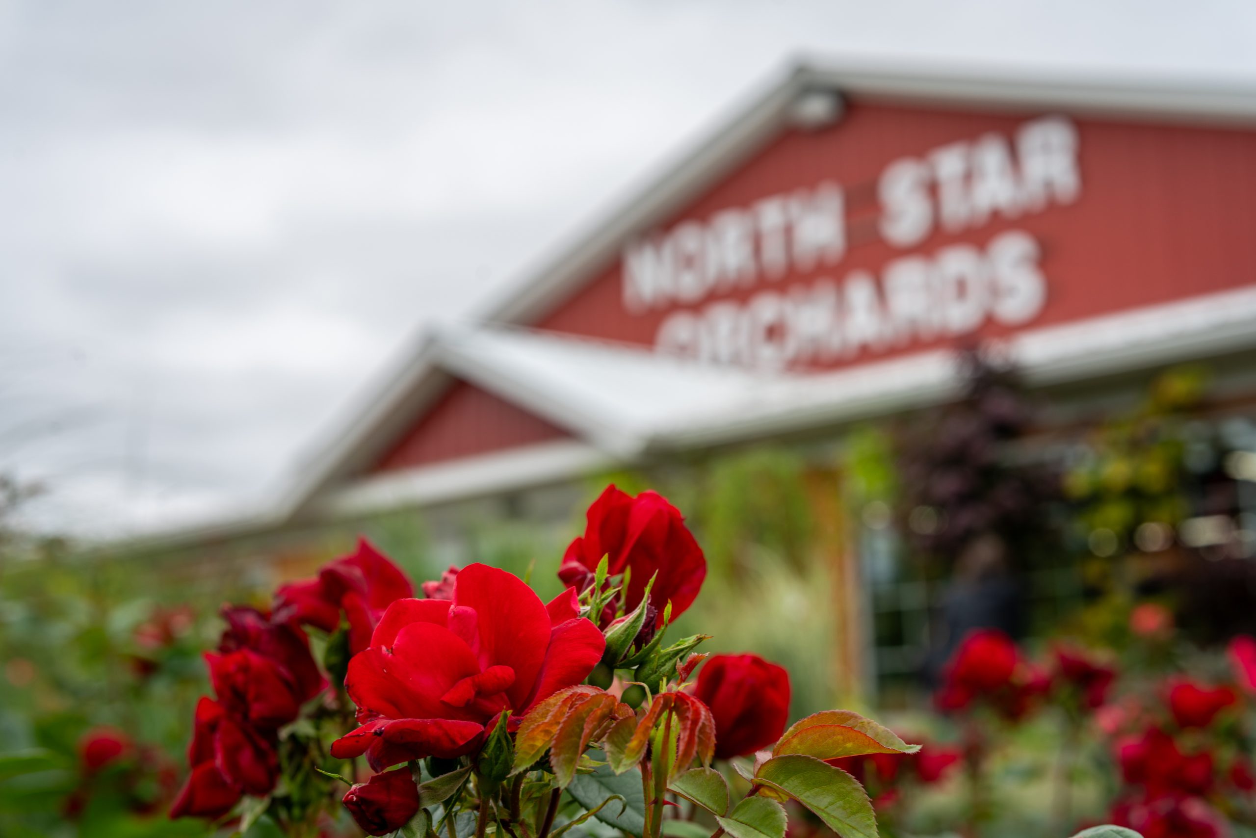 April Events and Activities in Oneida County