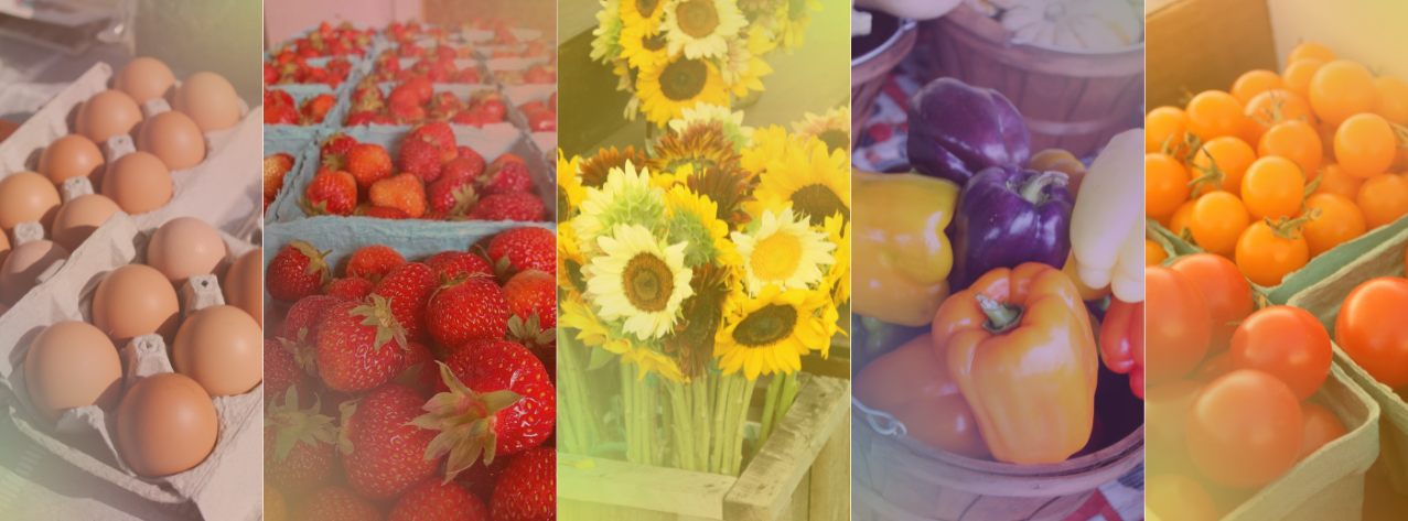 Farmer’s Markets in Oneida County