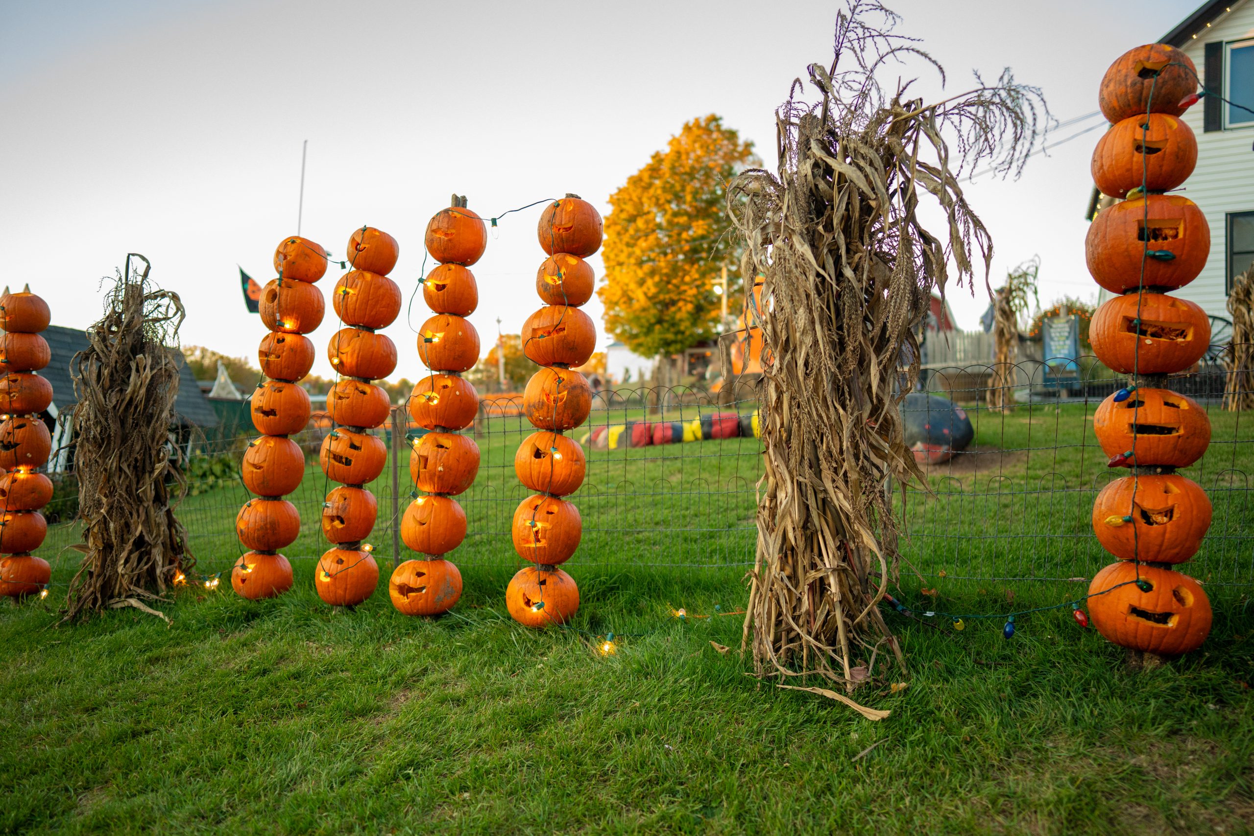 The Ultimate Fall Bucket List: 12 Things to Do in Oneida County, NY